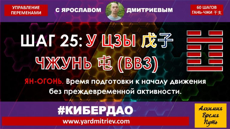 na-yin-25-wu-zi (2025)